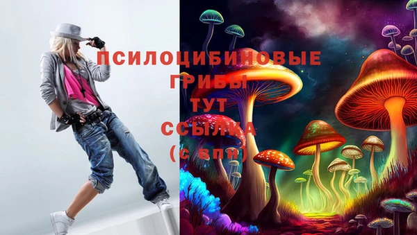 каннабис Абаза