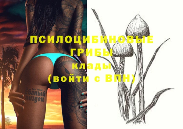 мдпв Абинск