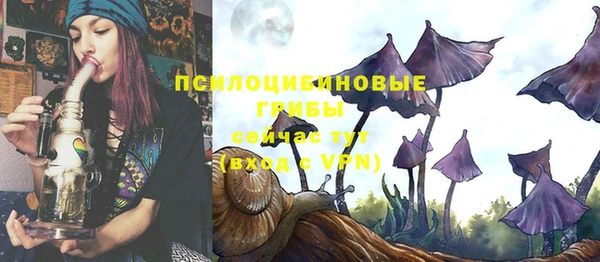 каннабис Абаза